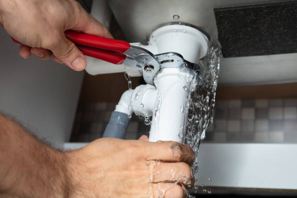 Best Professional water damage repair  in Black Rock, NM