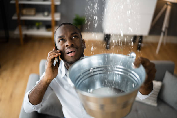 Best Carpet water damage restoration  in Black Rock, NM