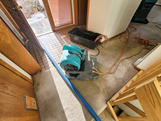 Best Flood damage cleanup  in Black Rock, NM