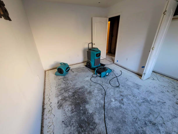 Best Water damage restoration near me  in Black Rock, NM