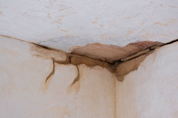 Best Water damage cleanup near me  in Black Rock, NM