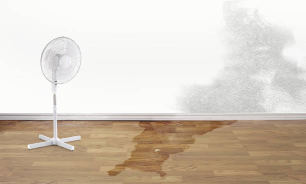Best 24-hour water damage restoration  in Black Rock, NM