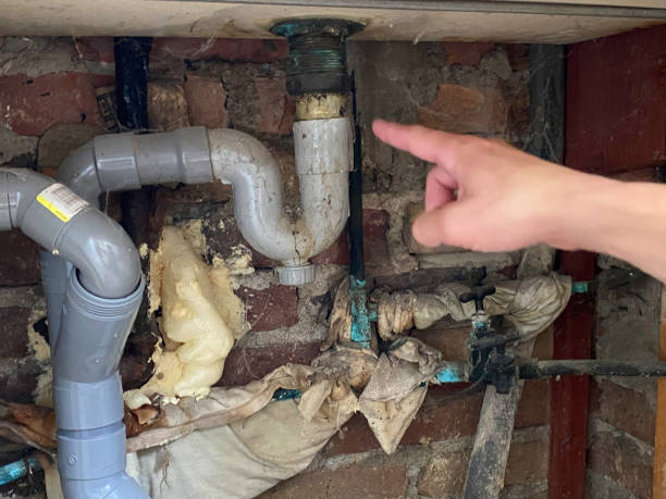 Best Basement water damage restoration  in Black Rock, NM