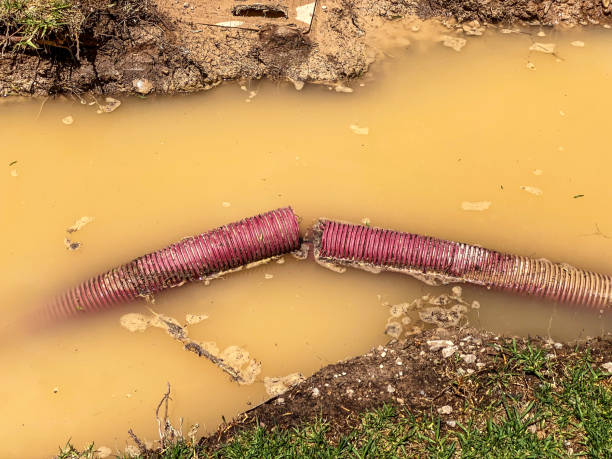 Best Water damage contractors near me  in Black Rock, NM