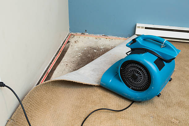 Best Sewage cleanup and water damage restoration  in Black Rock, NM